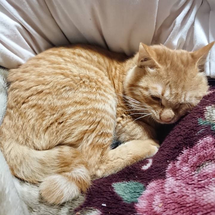 7b6e9acd a33b 4a43 9864 8604239e8808 1638532724878