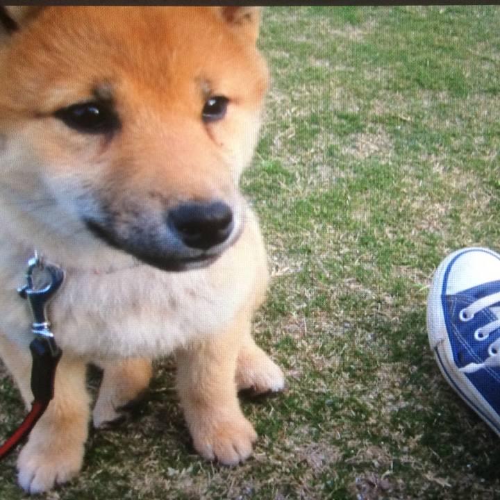 7b6eb2ed 585c 417d b769 de9fd0145374 1763972610254