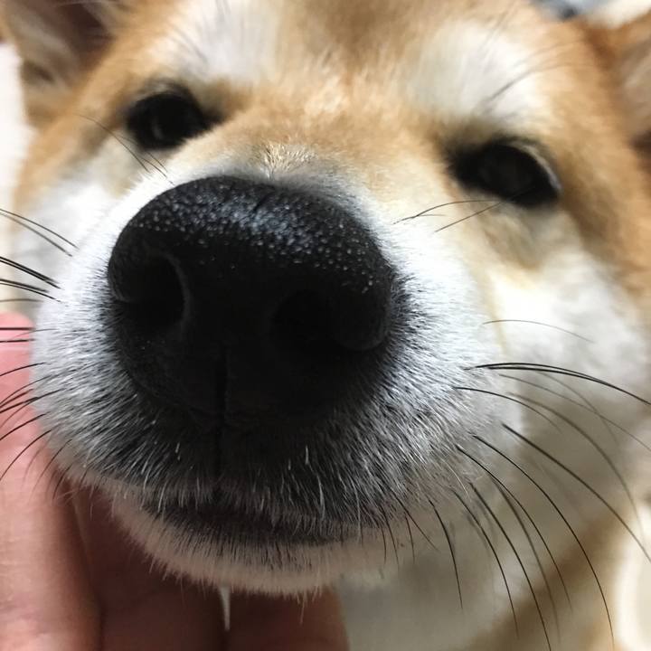 7b6ed202 aace 4bd3 ae56 c6aa54fee830 1542445662402