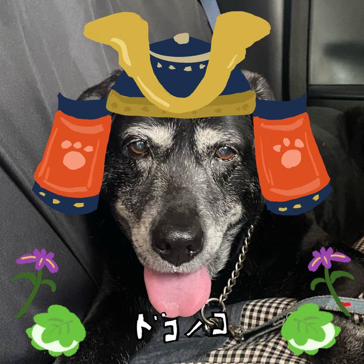 7b6f03a0 7903 47ce a5e9 d20fb5de71d2 1715086060301