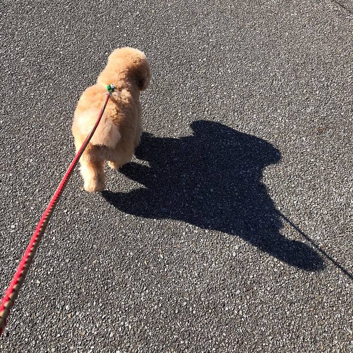 7b6f24c4 81f4 4ad6 9a54 817cea8f11b8 1513145085744