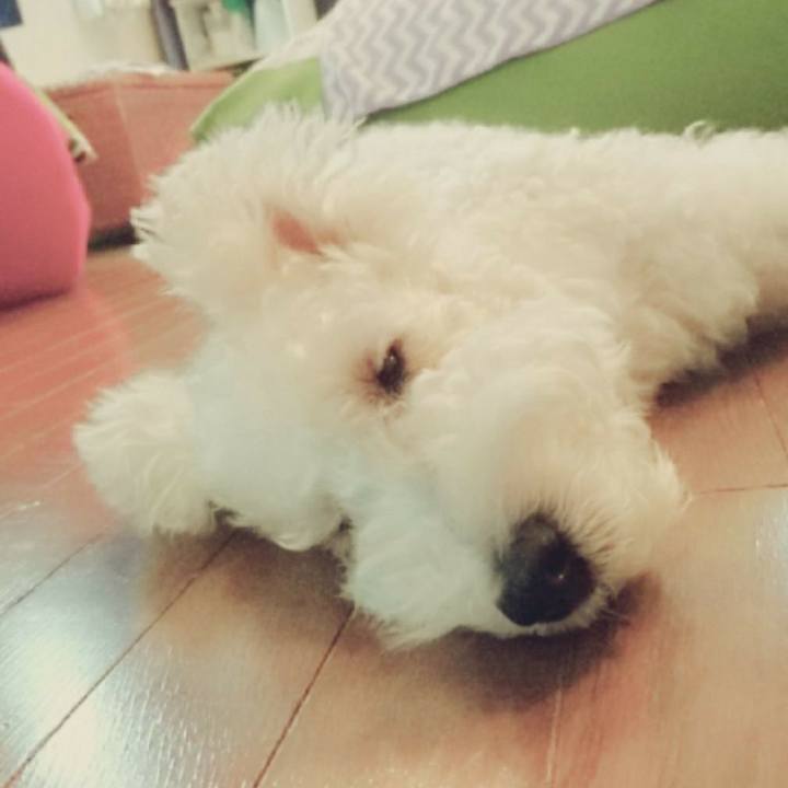 7b6f2657 5bff 4bb5 84a0 a2e0d80f2a2b 1509249089692