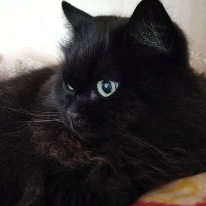 7b6f4897 b6a3 4612 8c78 05b74878e1cd 1514603681795