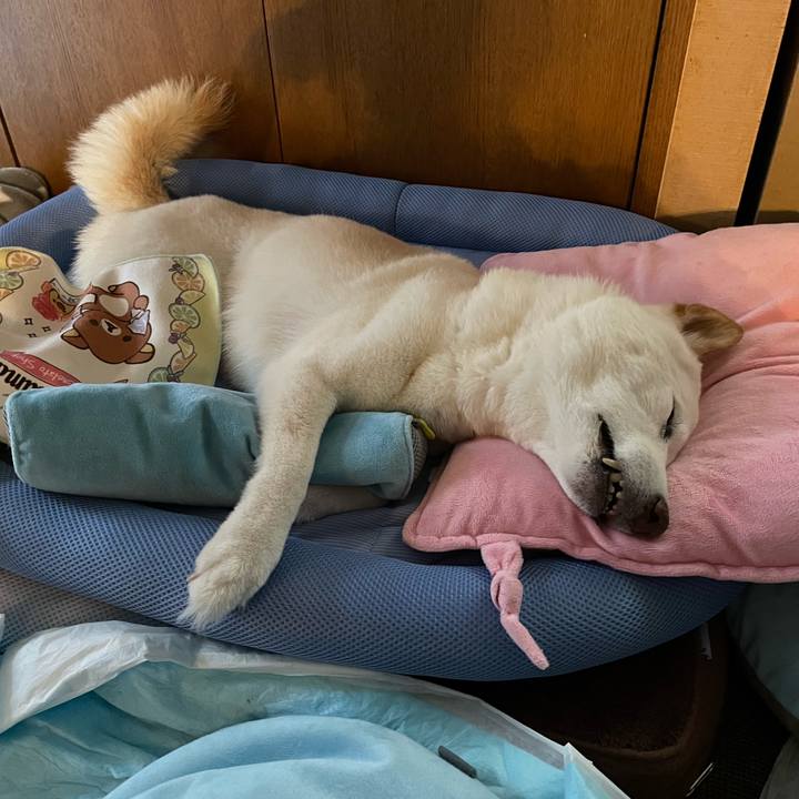 7b6f6e61 8a3b 412b a1d4 c94928a705bc 1651837814018