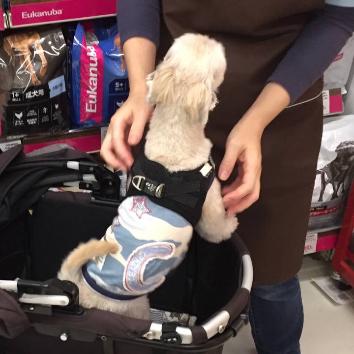 7b6fa91f a664 4bbe 8e78 5d2985ed3eed 1540724090947