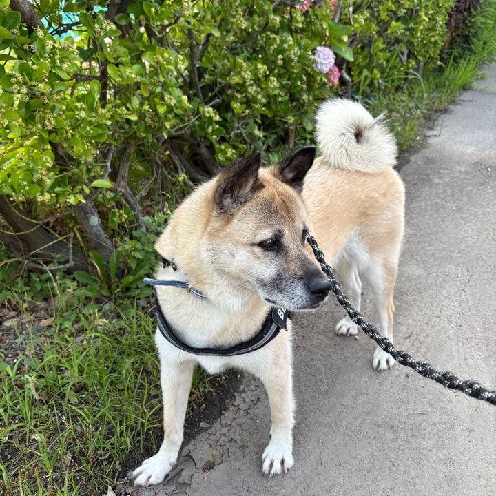 7b6fb43c 54aa 4fbc 8bb2 8d9688eb23cb 1751288177915