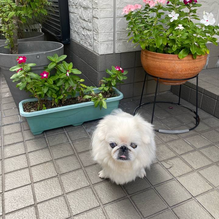 7b6fe072 deea 489d b6ac 6db1ed951b6b 1692947518139