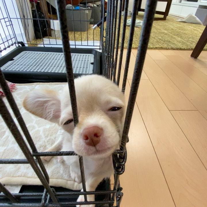 7b6fe752 6457 4f4e a9dd 7539d22fccb7 1590831524474