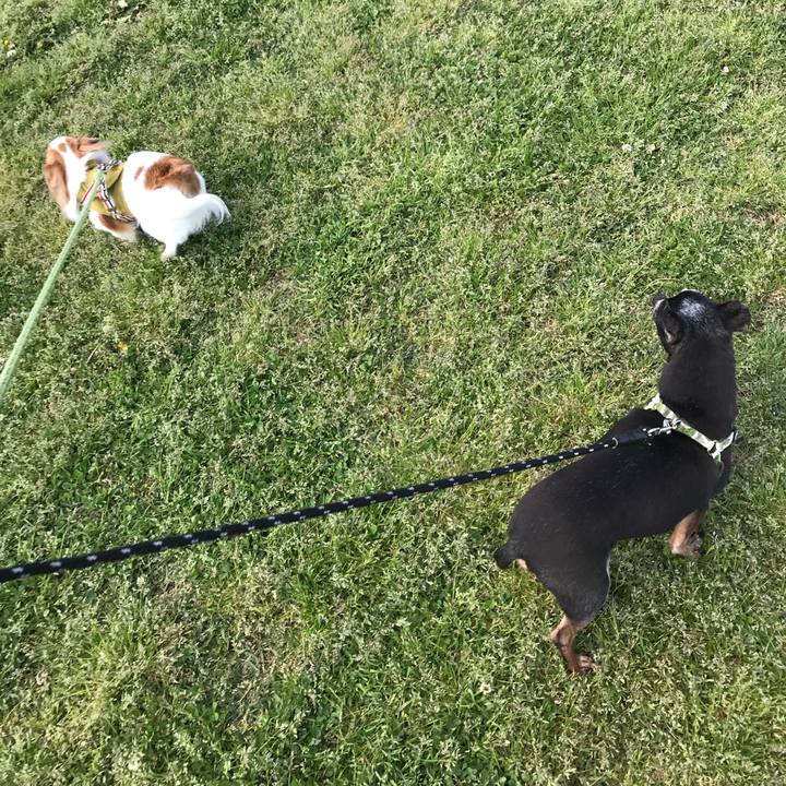 7b6ff537 cad0 4e1f b423 b1997785d7ec 1556788075427