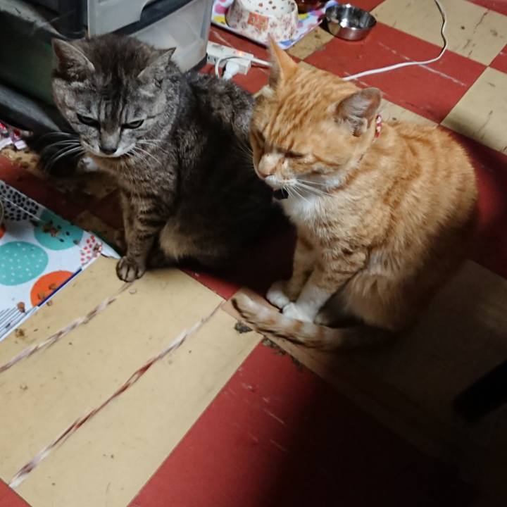 7b7030eb 8d4e 420d af0e 93b9957d2253 1561404598433