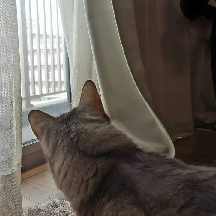 7b7086cd 2e06 4538 a085 12d39baf9c64 1559046347580