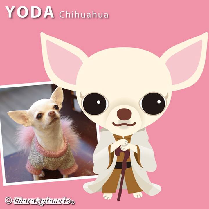 7b70995c ede1 4fea a15b 2272c2c4a0d2 1559037078977