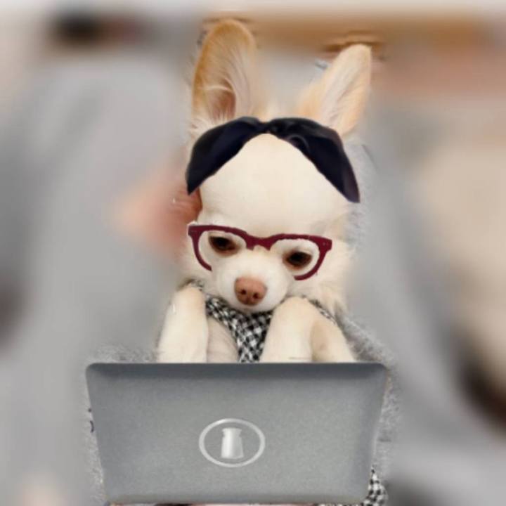 7b709971 a8ea 40db 8249 e70b6d798124 1706333629369