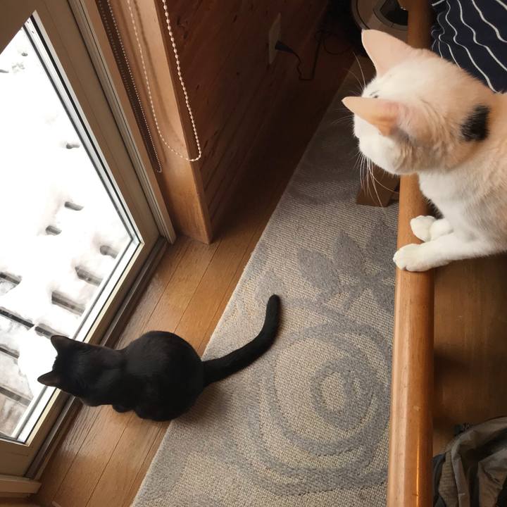 7b70a2bb 4049 411c 800c 26f095576410 1579993654480