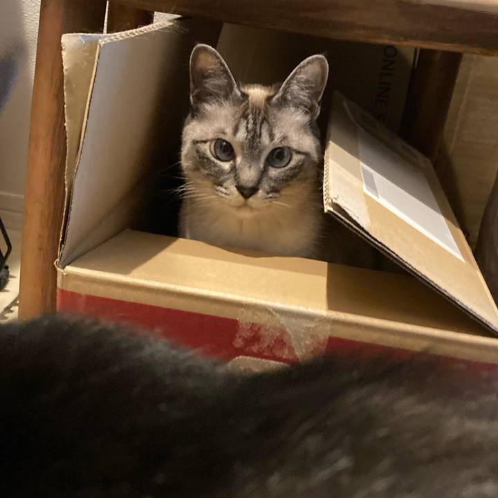 7b70cf18 fb99 41d7 b46e b5bc5c2c4c0d 1683607757880