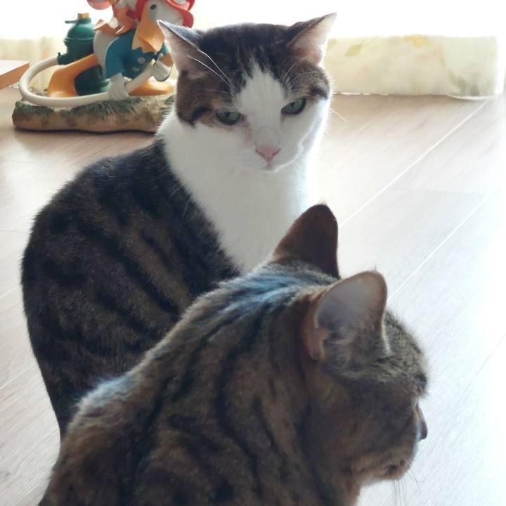 7b70ee5b 7a9f 4c26 a0d3 f6403819d2cf 1741332066061