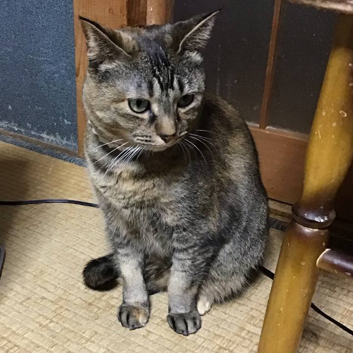 7b70fe52 bf1c 4670 839d 3d1edc94ede3 1710332310408