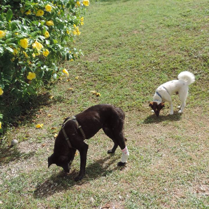 7b710277 a9fd 4428 bab1 35ee2fef41e8 1508925432241