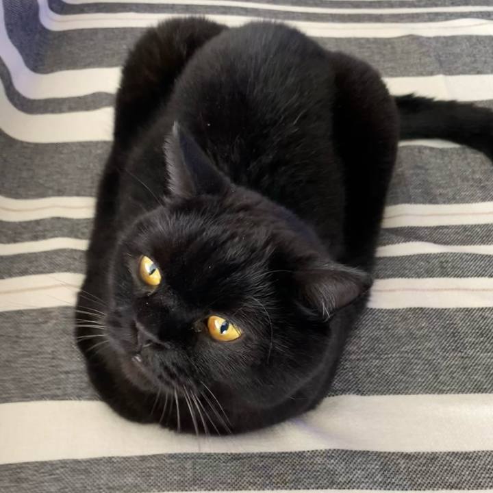 7b713e62 35d4 4294 97cb 31567222b9e3 1760069846580