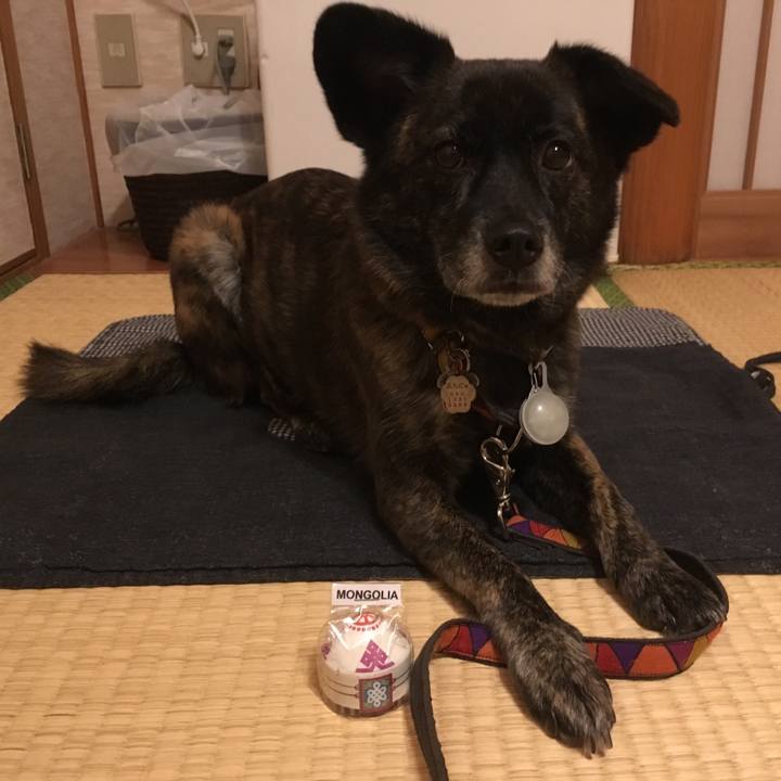 7b716e51 2974 411e aac0 63c6b423e2ac 1512859021177