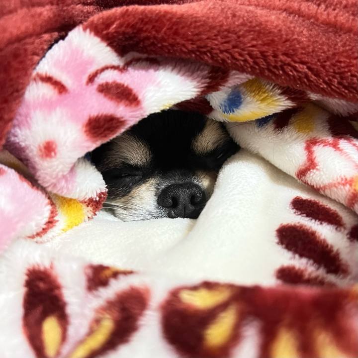 7b71800b 8a2d 49ae 89e1 921f703d0325 1666830234560