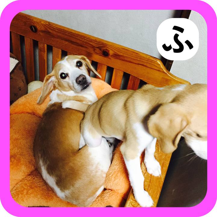 7b71921b 79e3 4be6 968e b336f868f794 1515031106728