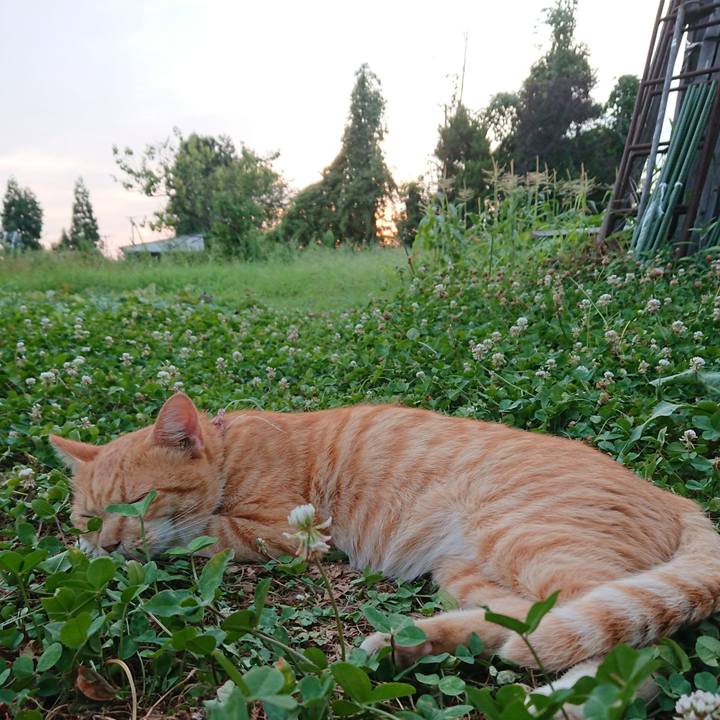 7b71c5e4 0a6a 4762 85ff 335c1fe5259e 1565602505209