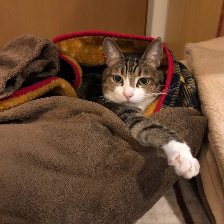 7b71e4d4 7374 48a6 879f 21505e9df50c 1639463798178