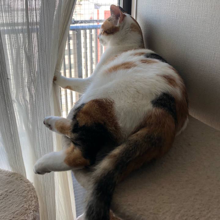 7b71e585 8c04 47e9 aed8 ecdc0adbd742 1587599244357