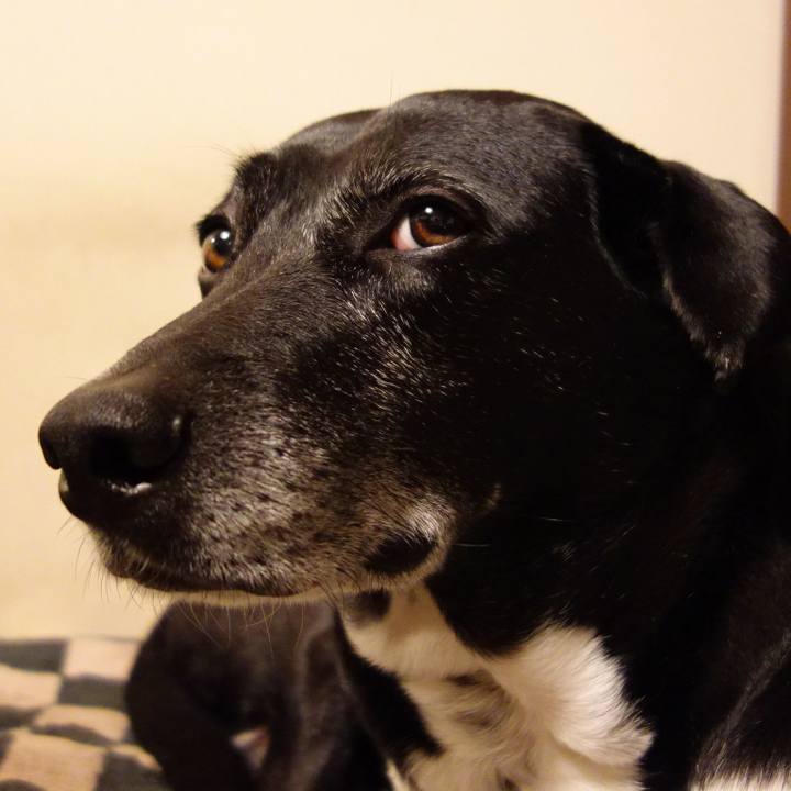 7b720403 61b5 4e69 9a99 b5c1b56139ba 1739790489043