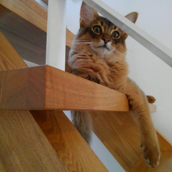 7b720faf 2692 4d2d aeb3 aebff9334489 1577437736027