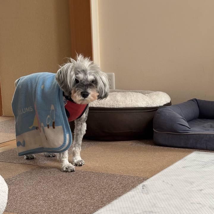 7b7211a1 0303 442e 91b6 79630f479b2f 1761263712773