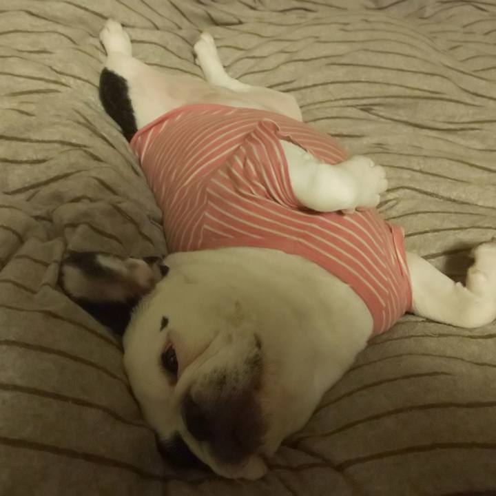 7b721960 b097 4852 bfa8 9f60cba69944 1563541370057