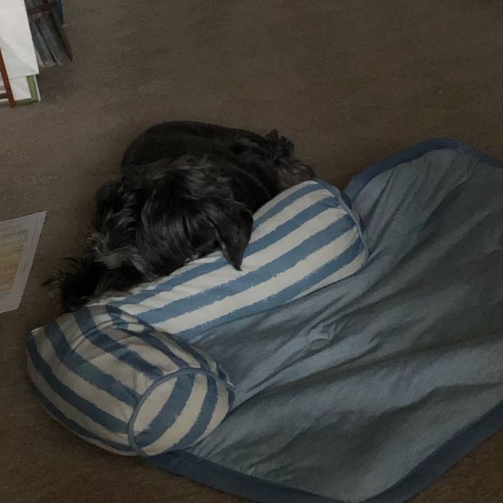 7b721f1d 1759 46b4 9c1b 14fdbf49d470 1687572665183