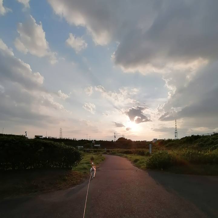 7b7226f8 2dfa 4221 971b 828fbbe4dafe 1598182035371