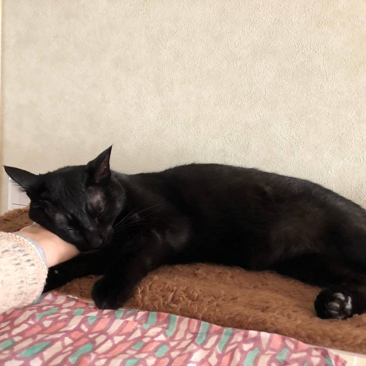 7b722cd7 5d1c 47de a223 89a21d31b5e7 1541912077575