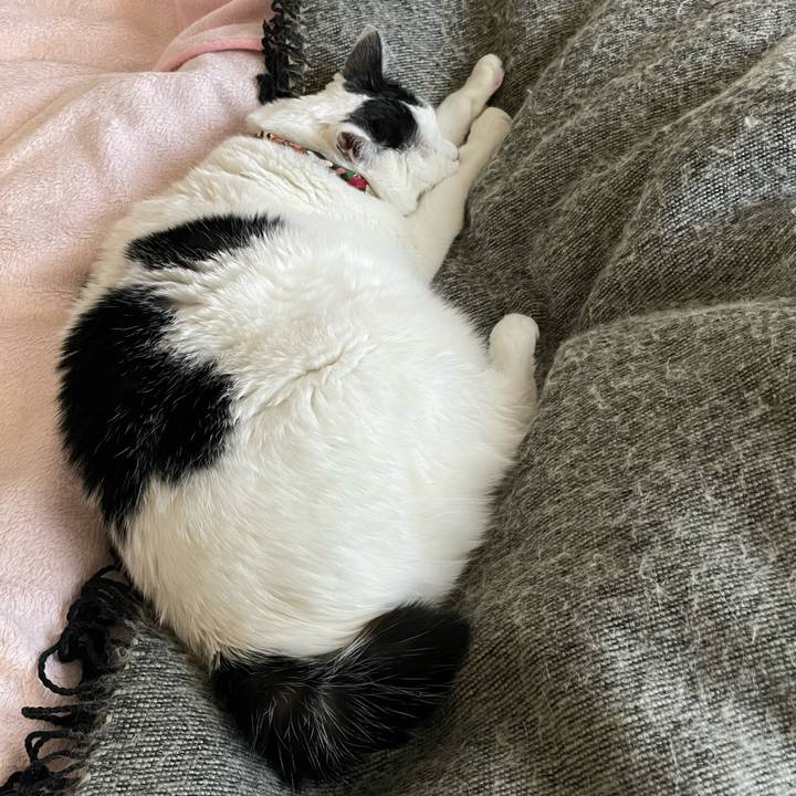 7b72d405 5f3b 4aba a489 a904453712dd 1642635089143