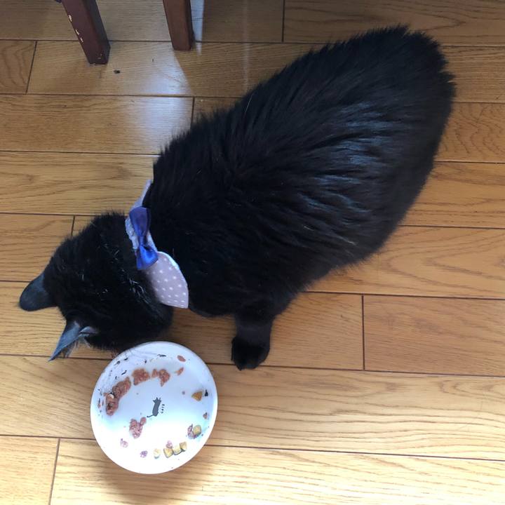 7b72da5a 6ab2 4dfe 8295 bf5dbbb86959 1573432225142