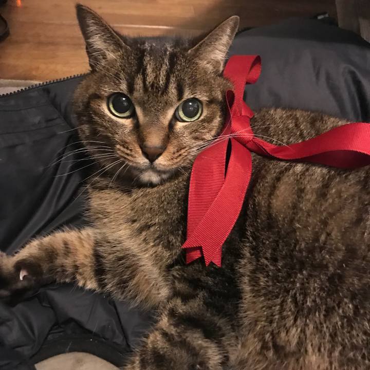 7b733d81 4910 4c12 aead 3a3f61cbe86c 1519224795997