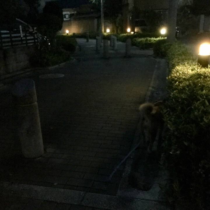 7b7340a0 5b5e 46d9 a8bb f57cab6af8c0 1573217984389