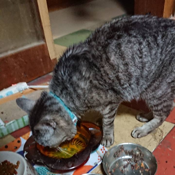 7b7379cc 2dce 4c53 ba52 a47445f7ac19 1564224615418