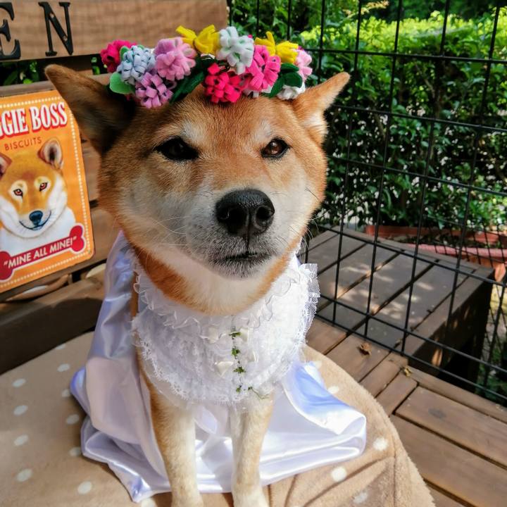 7b73a232 24c0 4398 8043 d7396cfef3a5 1623393426972