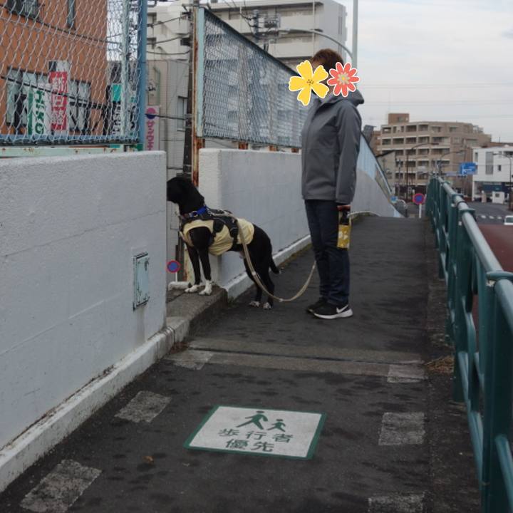 7b73c6a3 2a18 4bba 9bdd 016fee26325d 1644713623064