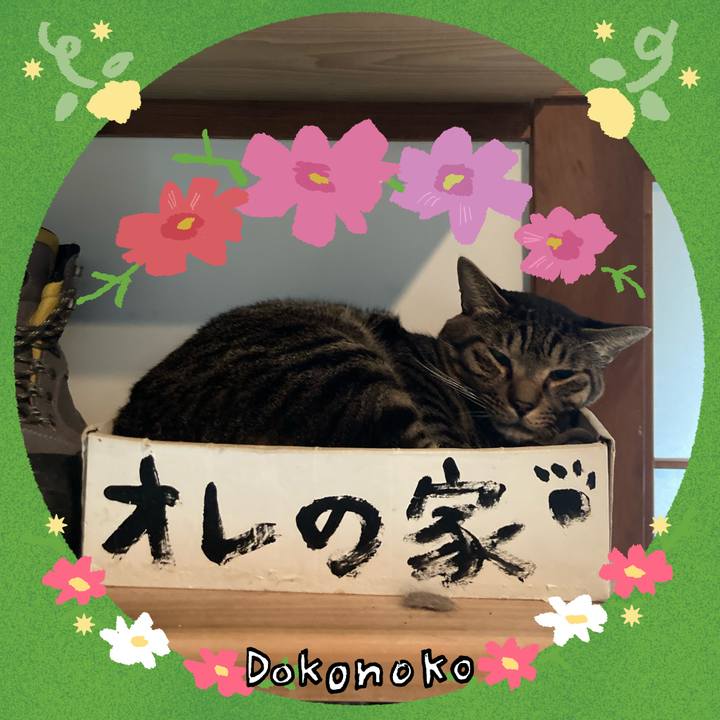 7b73d68d dd6d 481a 812d 1ac9a14a7212 1726962903844