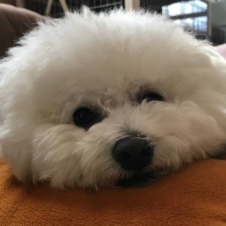 7b740a23 e9cb 47f8 8454 c9ebb7bd1230 1549349342393