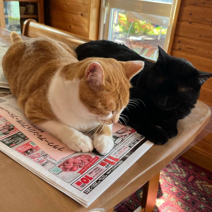 7b745da3 5ba4 4326 a70a 98f96eb25de2 1684963435275