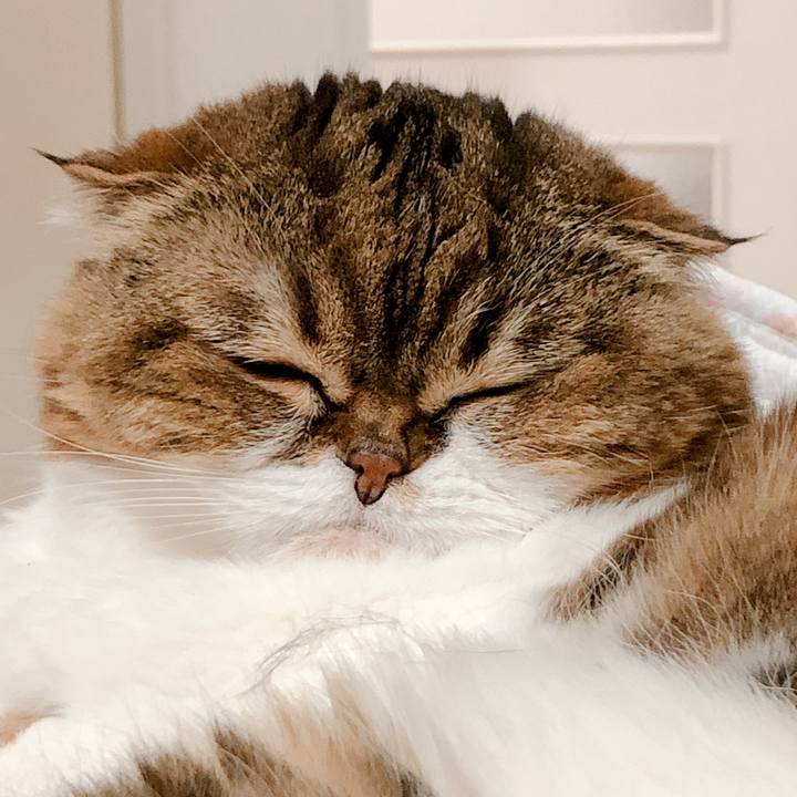 7b74c010 9b7c 4199 b462 94feb58983c5 1559646390495