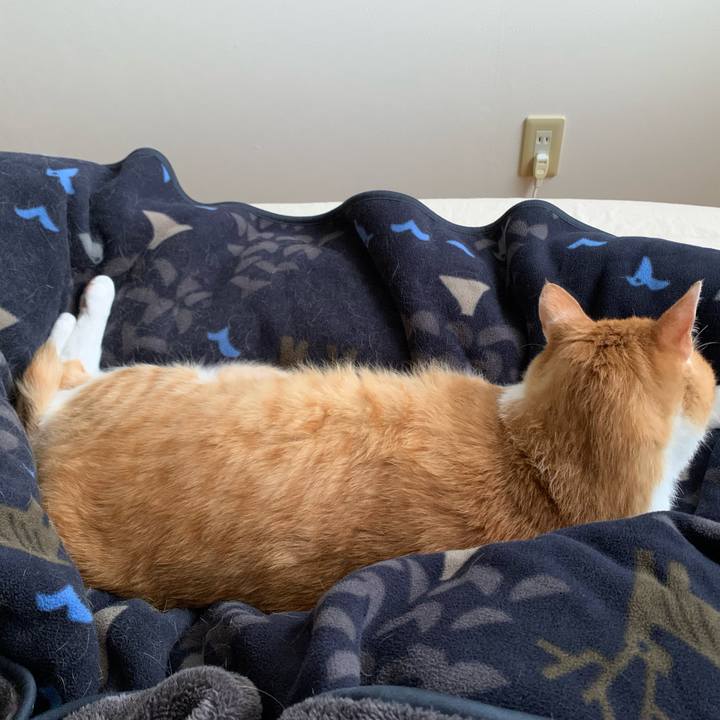 7b74c7b5 e2ac 48b1 a705 93096fbbca85 1685585272627