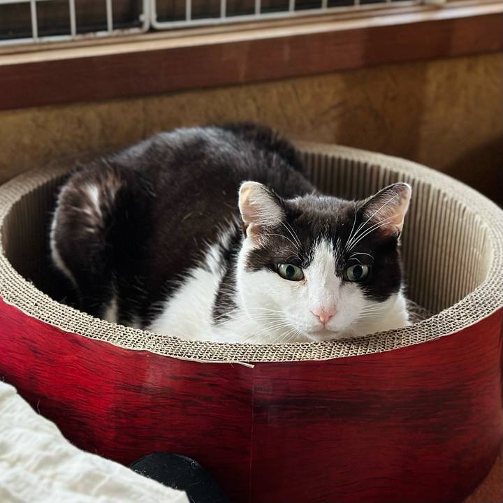 7b74cc21 91cf 4d85 bc84 3b4be6e139c5 1686878924731