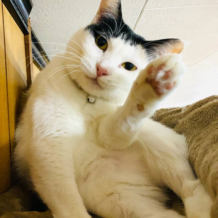 7b750898 0073 47c1 89ec bd4ec4a47316 1671806670155